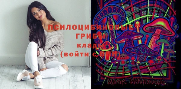 гидра Михайлов