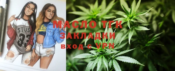 индика Михайловск