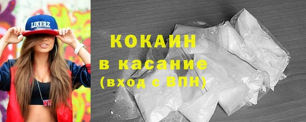 индика Михайловск