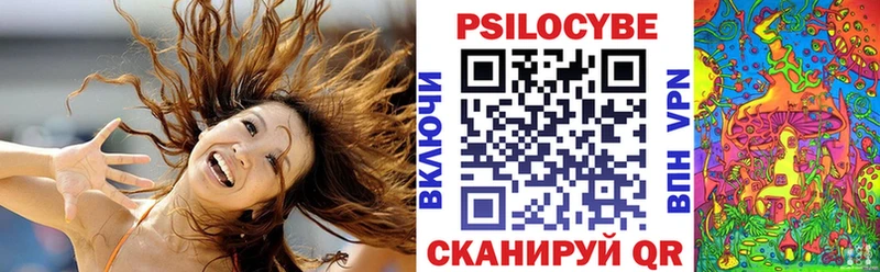 Псилоцибиновые грибы Psilocybine cubensis  хочу наркоту  Саров 