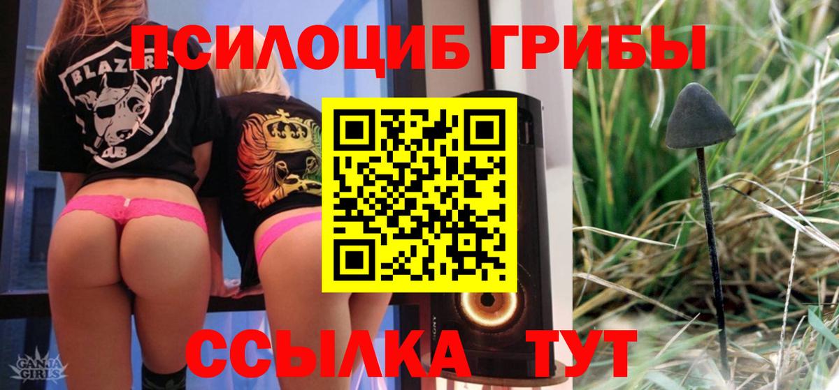 Саров  Псилоцибиновые грибы GOLDEN TEACHER  Галлюциногенные грибы ЛСД  Вход с VPN 