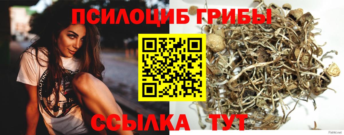 Каннабис  ГАШ  Молли  Саров  Мефедрон  Канабис  Марки  МЕФ  Вход с VPN  Кокаин 